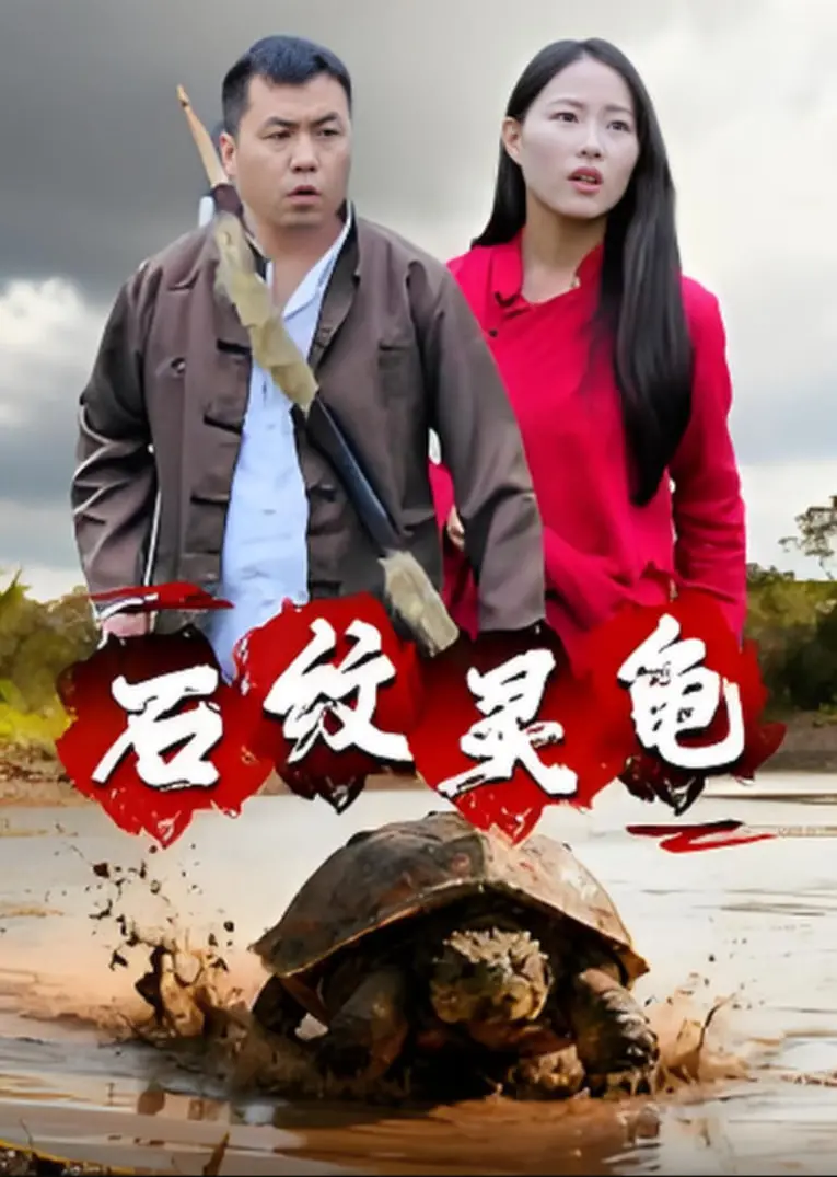 《石纹灵龟》：一场跨越时空的生命礼赞，感受自然奇观的温柔力量！