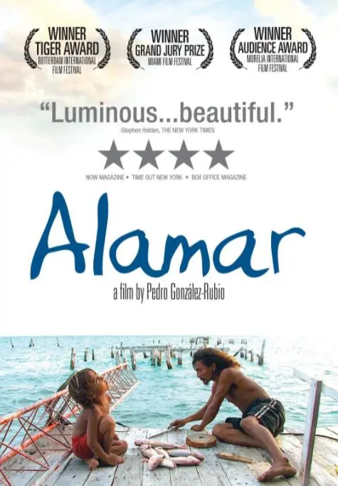 《拥抱大海》：一场触及灵魂的海洋疗愈之旅，寻找生命真谛！