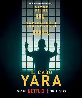 《雅拉命案 铁证背后》：真相的迷雾与正义的追寻，一部令人窒息的犯罪纪实