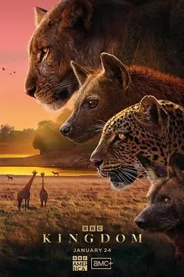 《动物王国(普通话版)》：一部充满奇幻与温情的法式家庭冒险之旅，开启你的想象力