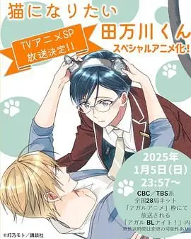 《想变成猫的田万川君》：打破刻板印象，一场治愈又反套路的奇妙冒险